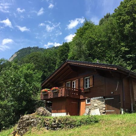 Chalet Julian Lütschenthal Exterior foto